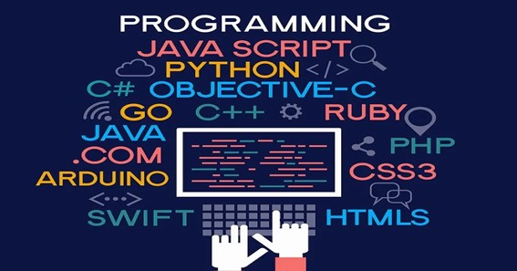 3 Ways to Get Programming Homework Help