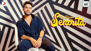 Senorita Lyrics in English – Pav Dharia
