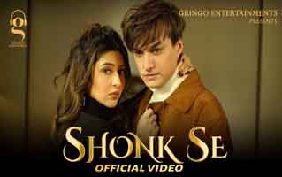 शौंक से Shonk Se Lyrics In Hindi- Afsana Khan | Micro Lyrics